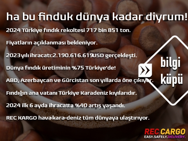 İŞİMİZ FINDIK: FINDIK REKOLTESİ, PAZARI VE İHRACATI | OUR BUSINESS IS HAZELNUT: HAZELNUT HARVEST, MARKET AND EXPORT